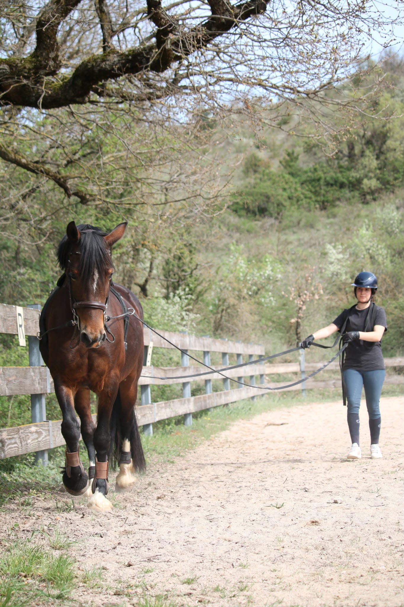 Cours d'équitation à Blandas